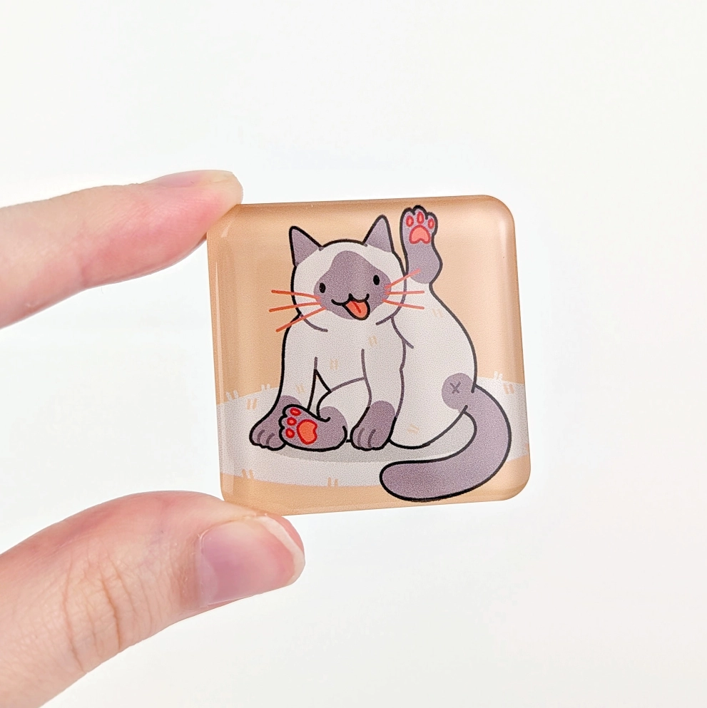 Cat Mischief Fridge Magnet Set, photo 5